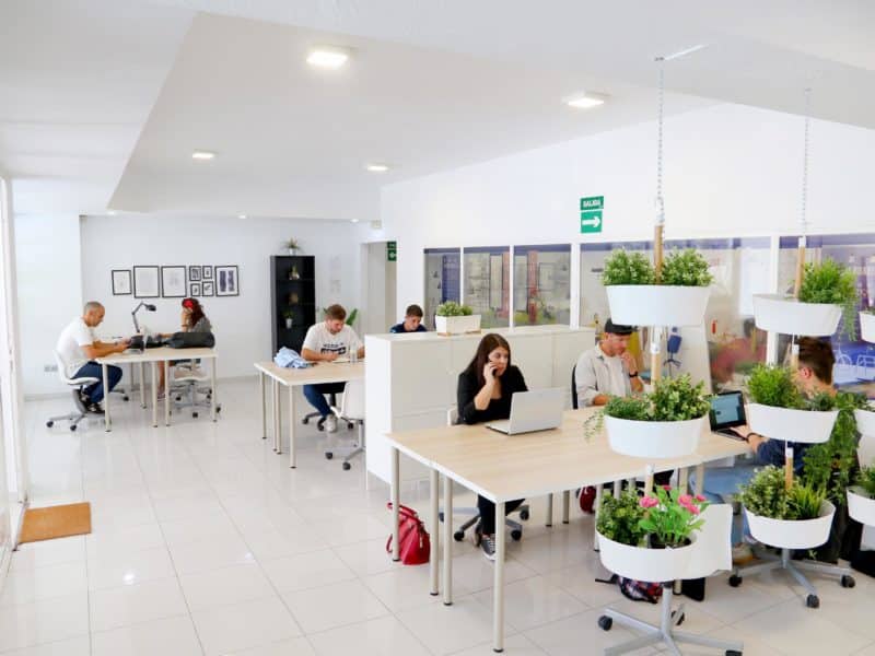 Coworking en la zona de la malagueta