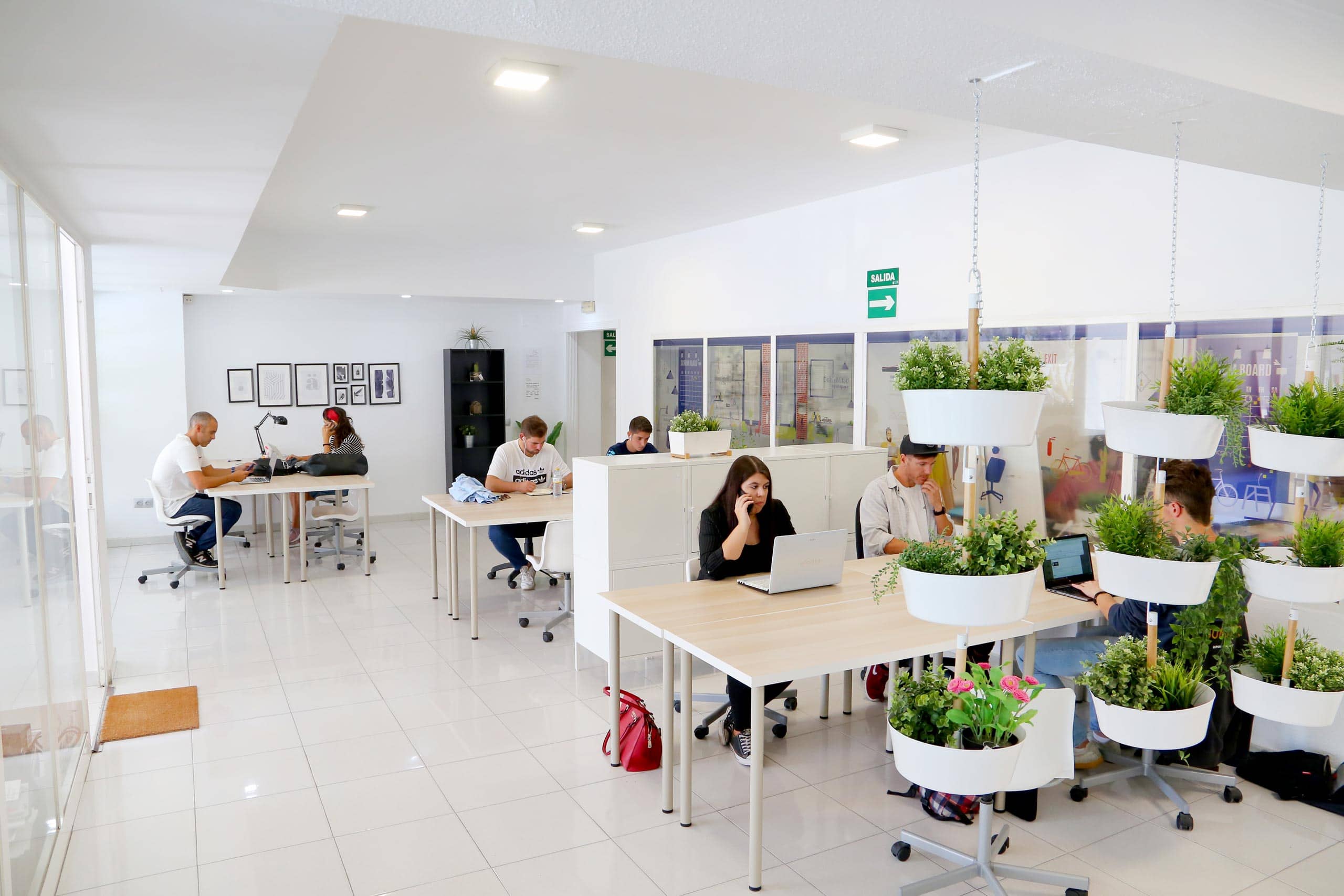 Coworking en la zona de la malagueta