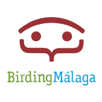 Logo Briding Málaga